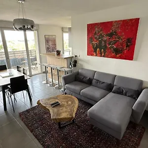 Coeur Toulousain Avec 2 Appartement